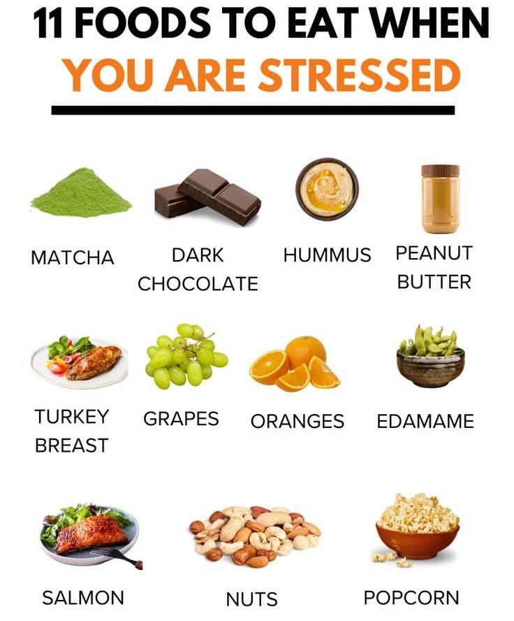 11 Best Foods to Eat When You’re Feeling Stressed 11 Best Foods to Eat When You’re Feeling Stressed